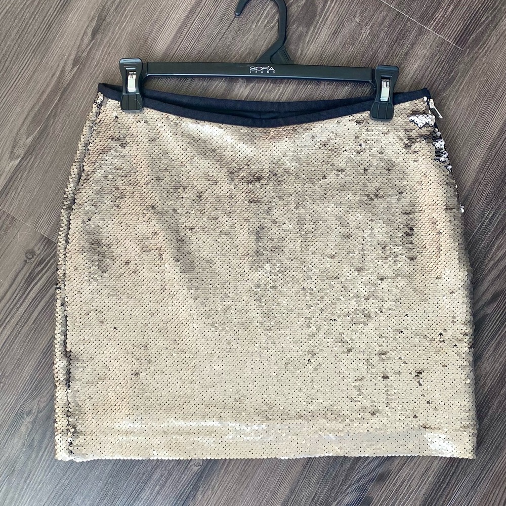 Zara Basic Silver Matte Sequin Mini Skirt